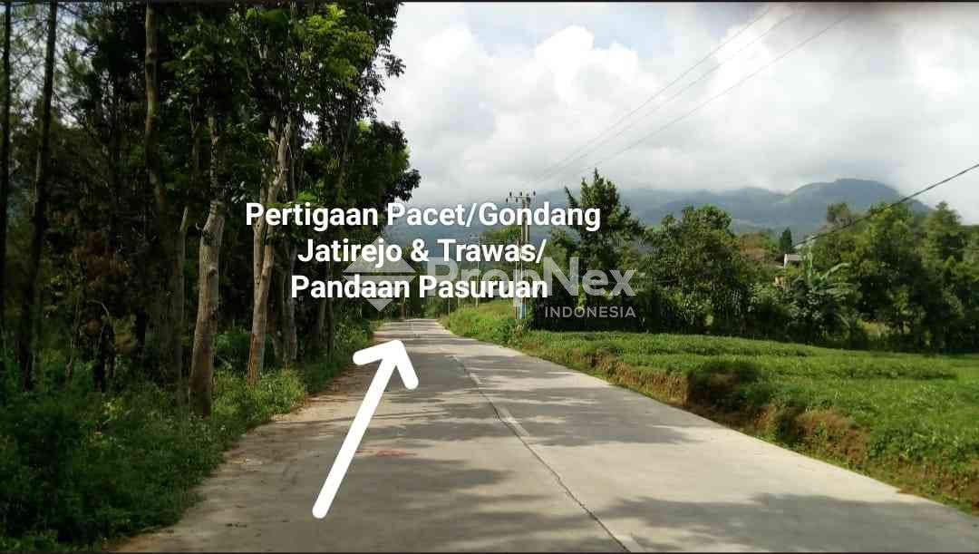 Tanah Komersial Desa Cembor - Pacet Mojokerto — foto 2